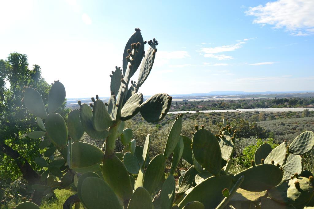 Ronnavona Casa Vacanze B&B Chiaramonte Gulfi Exterior photo